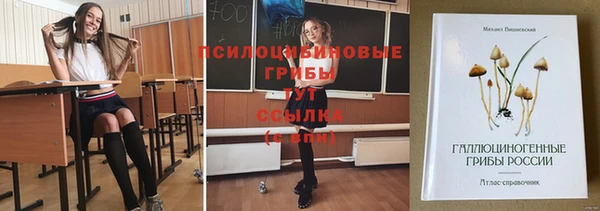 герыч Алзамай