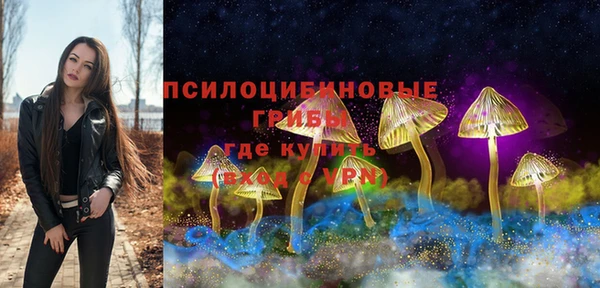PSILOCYBIN Абаза