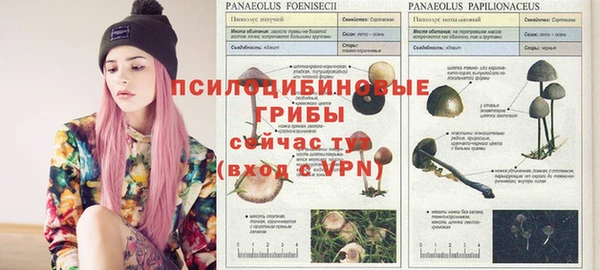 MDMA Premium VHQ Абдулино