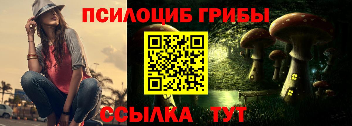 Галлюциногенные грибы MAGIC MUSHROOMS  Вход с VPN  Псилоцибиновые грибы GOLDEN TEACHER  Ухта 